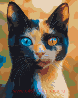 ������� �� ������� 40*50 �� ������ �� ���������� ����� � ������� �������