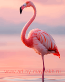 ������� �� ������� 40*50 �� ������ �� ���������� ������� ��������