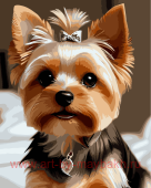 ������� �� ������� 40*50 �� ������ �� ���������� ������ - ����