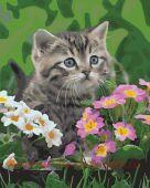 ������� �� ������� 40*50 �� ������ �� ���������� ����� - ������ � ������