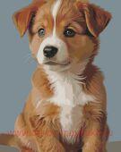 ������� �� ������� 40*50 �� ������ �� ���������� ������ - �����